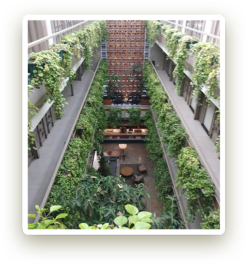 A view of an indoor garden from above.